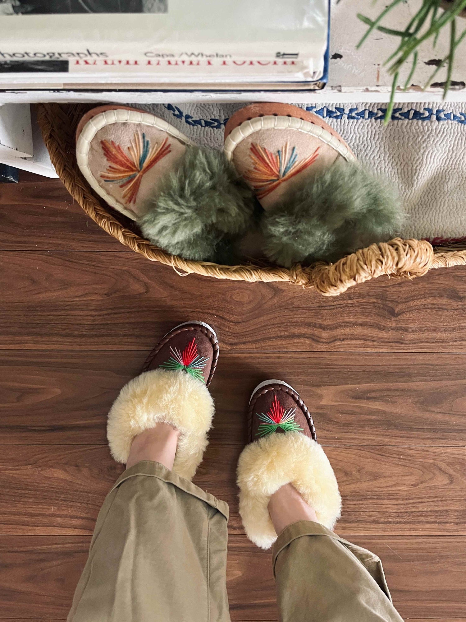 (千葉)11/17(日)Brown’s Field 収穫祭2024に出店します