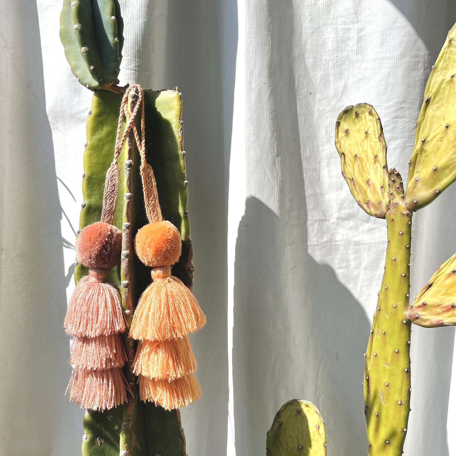 3月・4月のPOP UPのお知らせ <神戸・京都・東京>