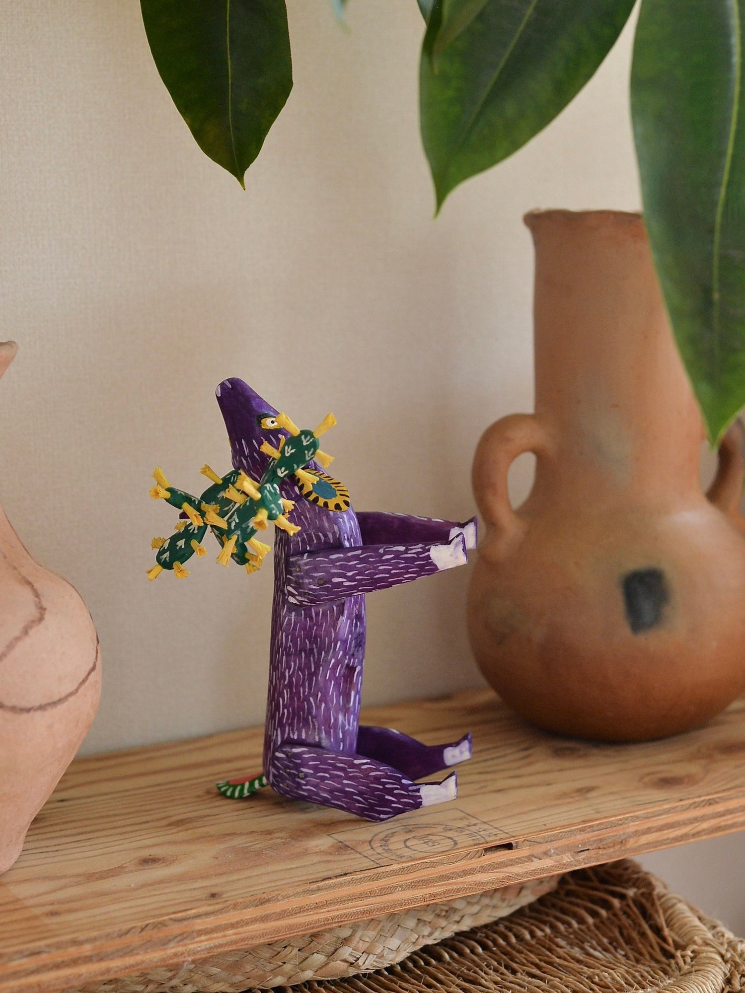 メキシコ アレブリヘ サボテン