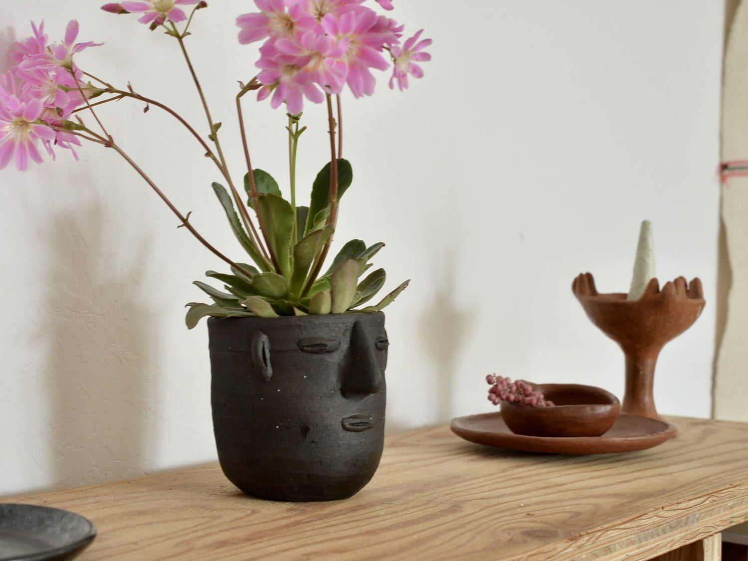 メキシコ フェイス 鉢