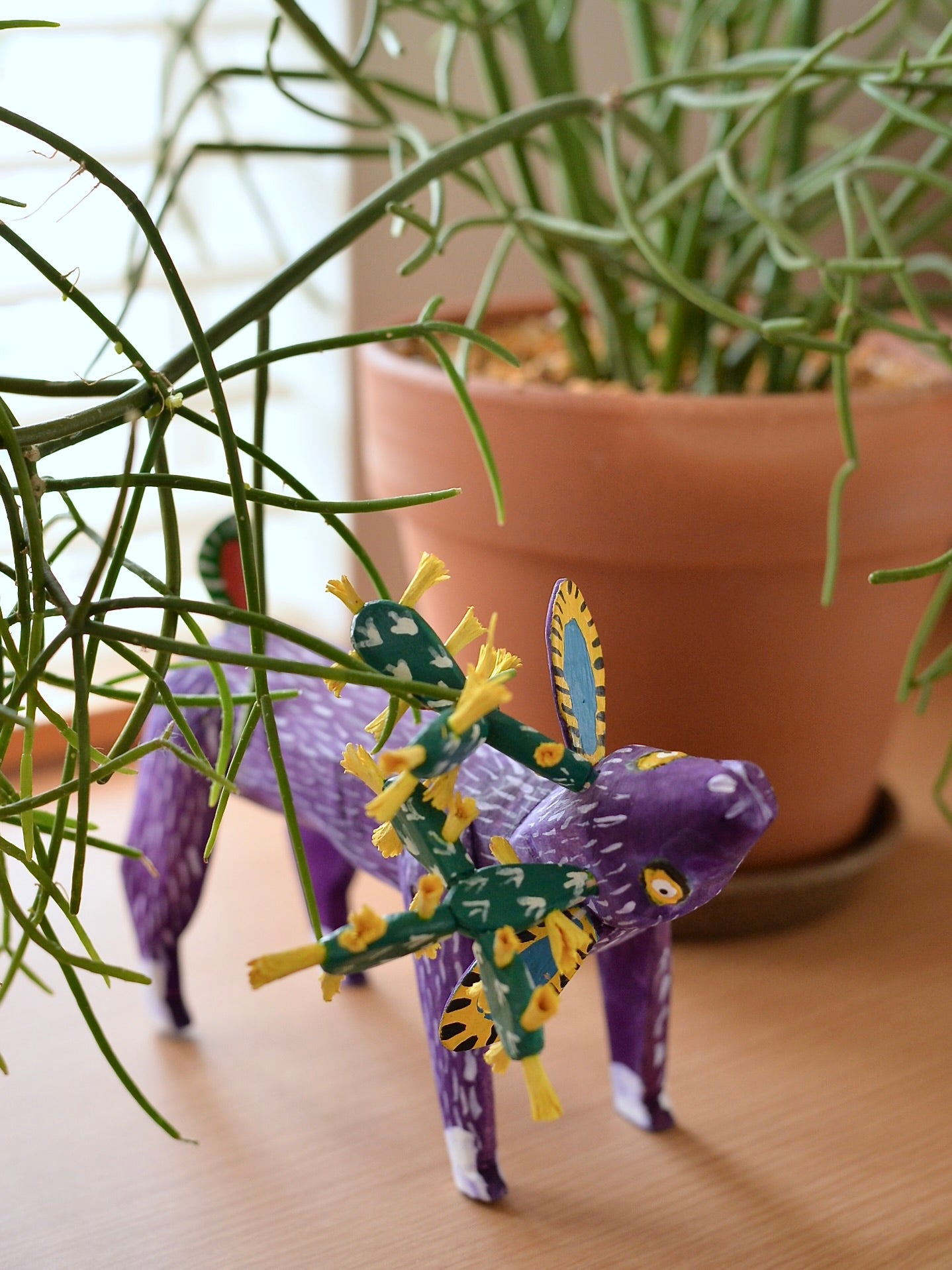 メキシコ アレブリヘ サボテン