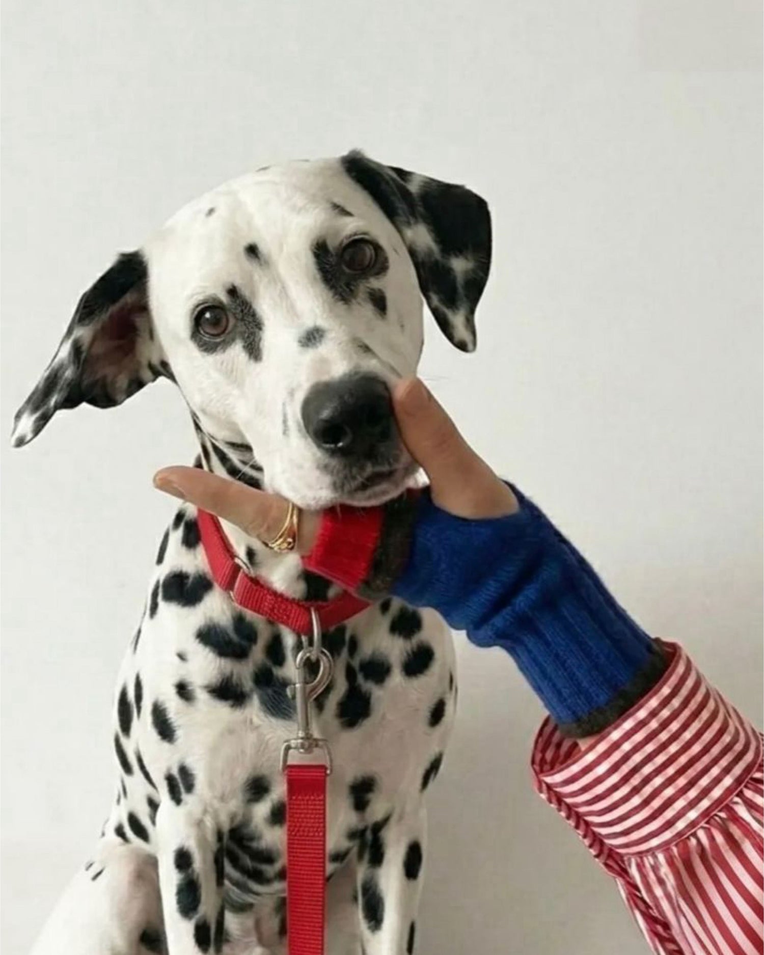 カシミヤブレンド ニット フィンガーレスグローブ ハンドウォーマー