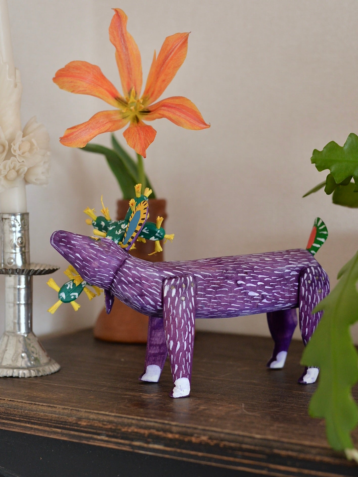 メキシコ アレブリヘ サボテン