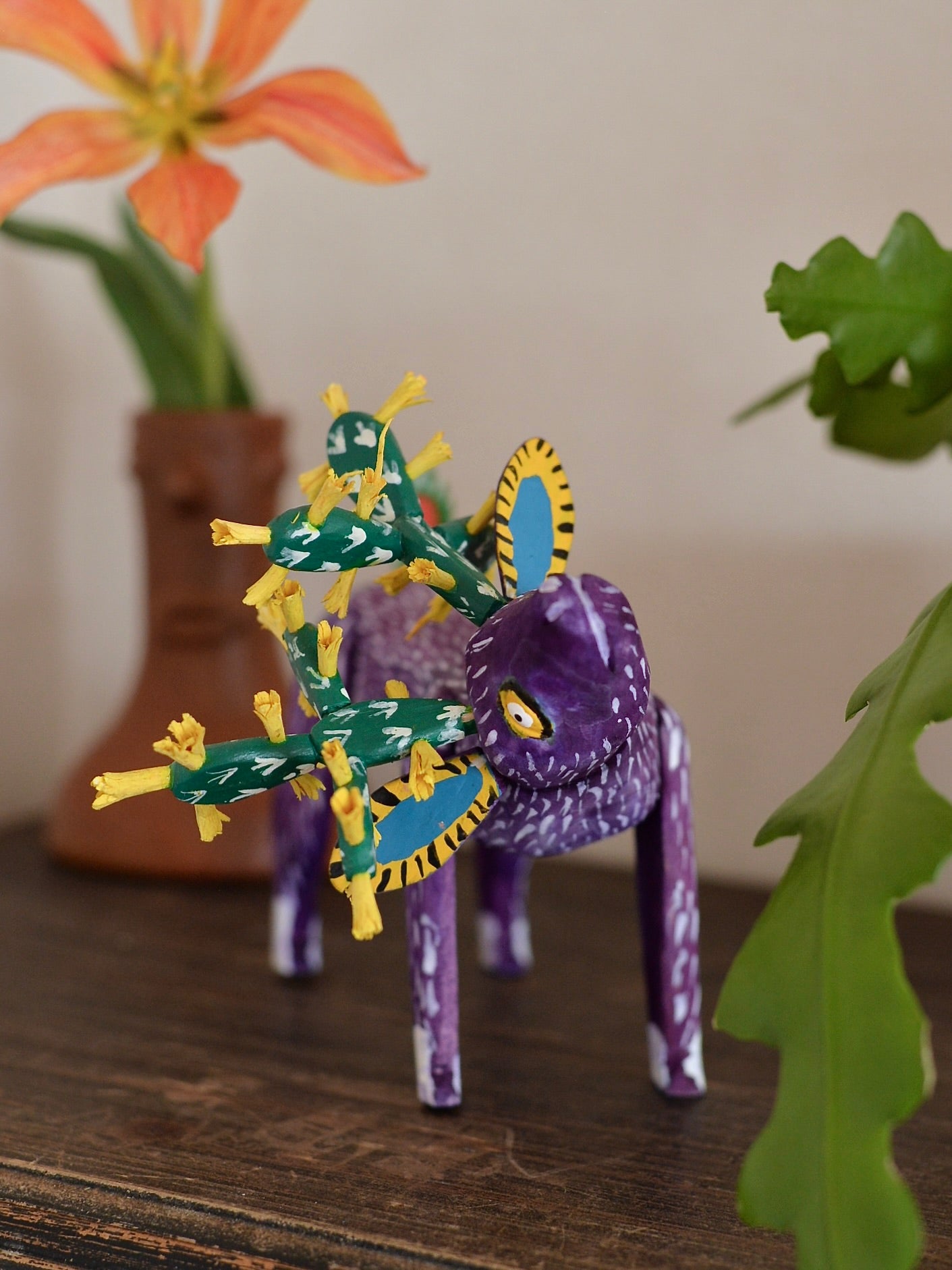 メキシコ アレブリヘ サボテン