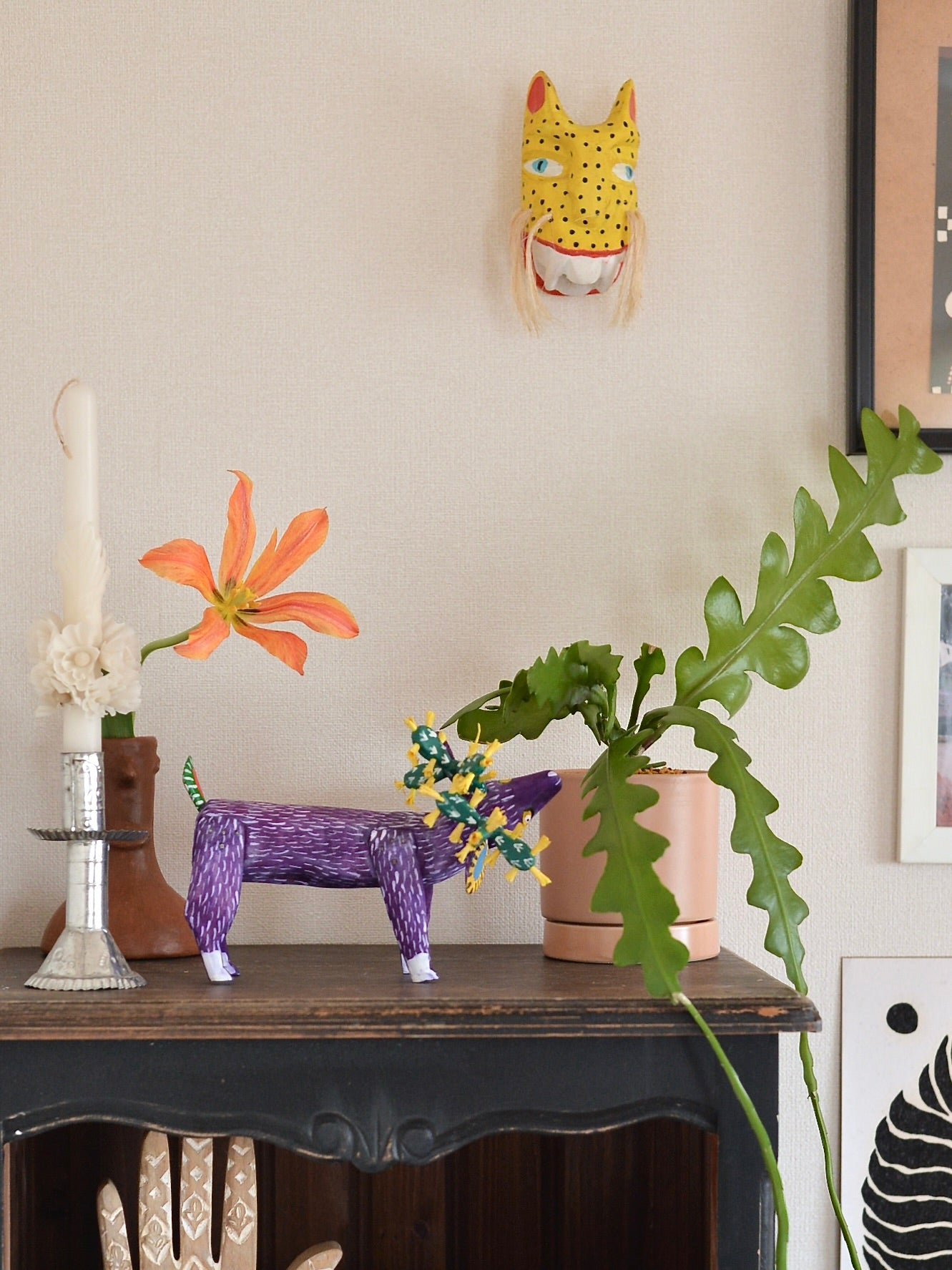 メキシコ アレブリヘ サボテン