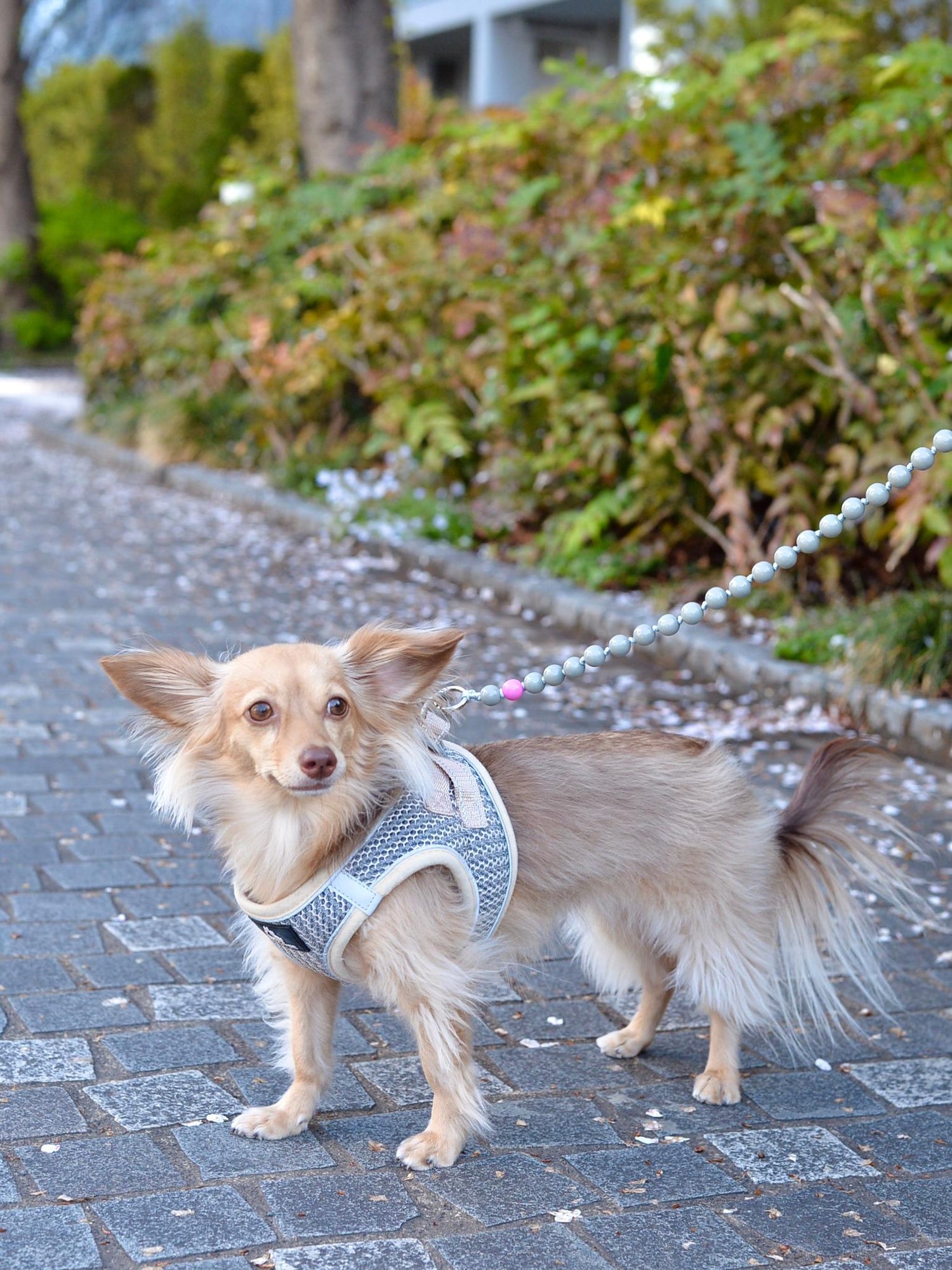 upbeads アップビーズスマホショルダー 携帯ストラップ 【グレー×ピンク】別注カラー