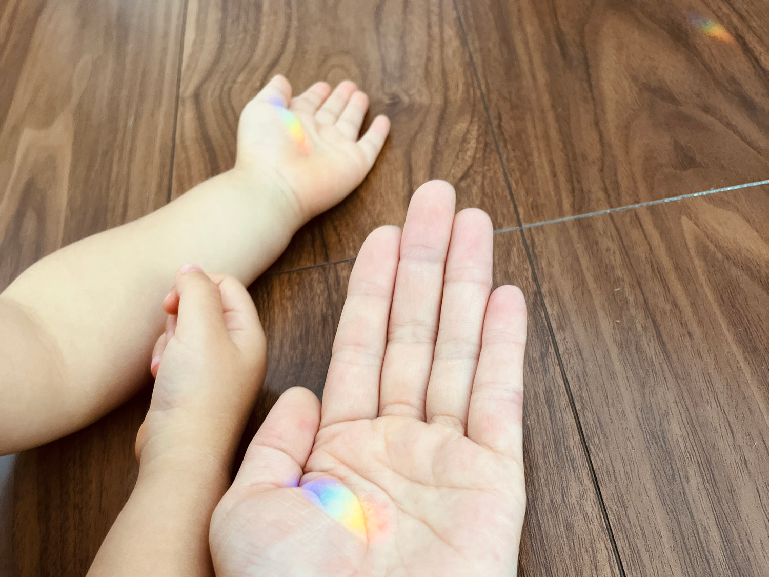 ハーフムーン&サン クリスタル サンキャッチャー