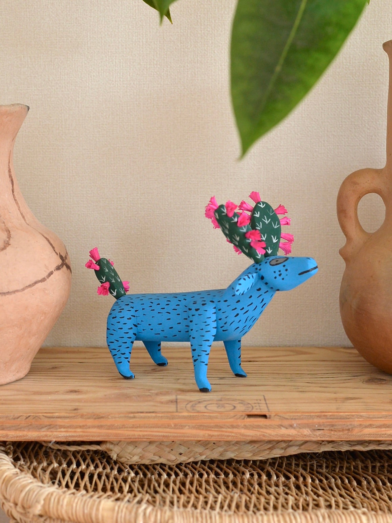 メキシコ アレブリヘ サボテン