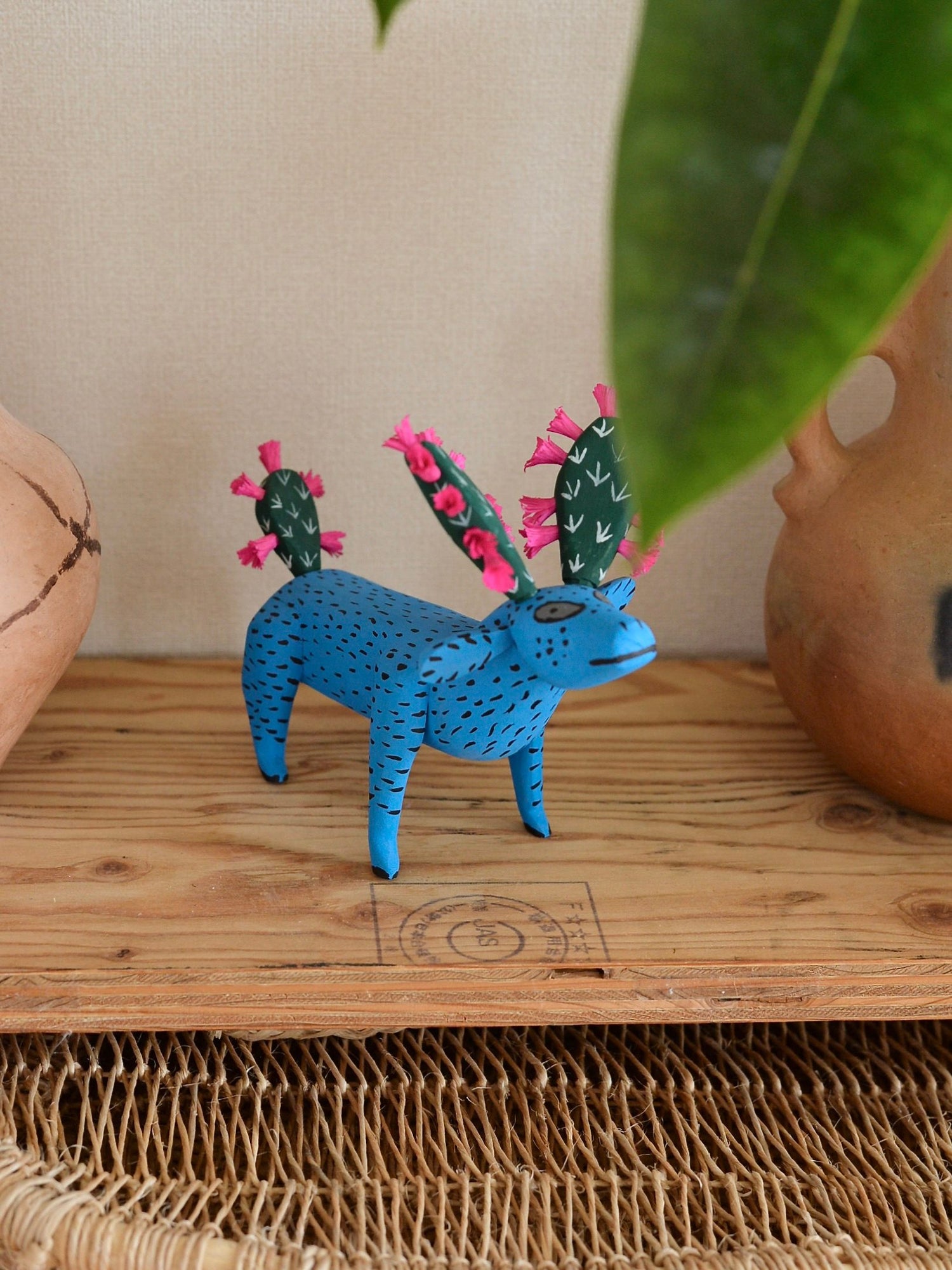 メキシコ アレブリヘ サボテン