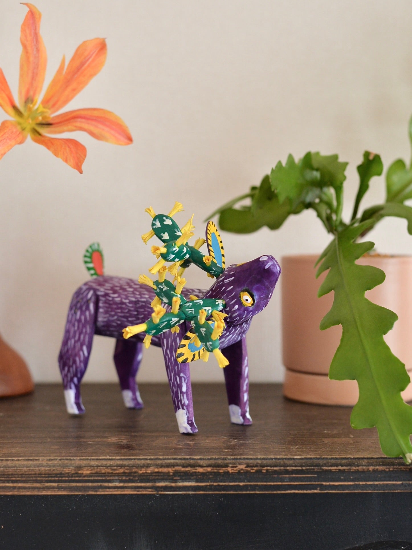 メキシコ アレブリヘ サボテン