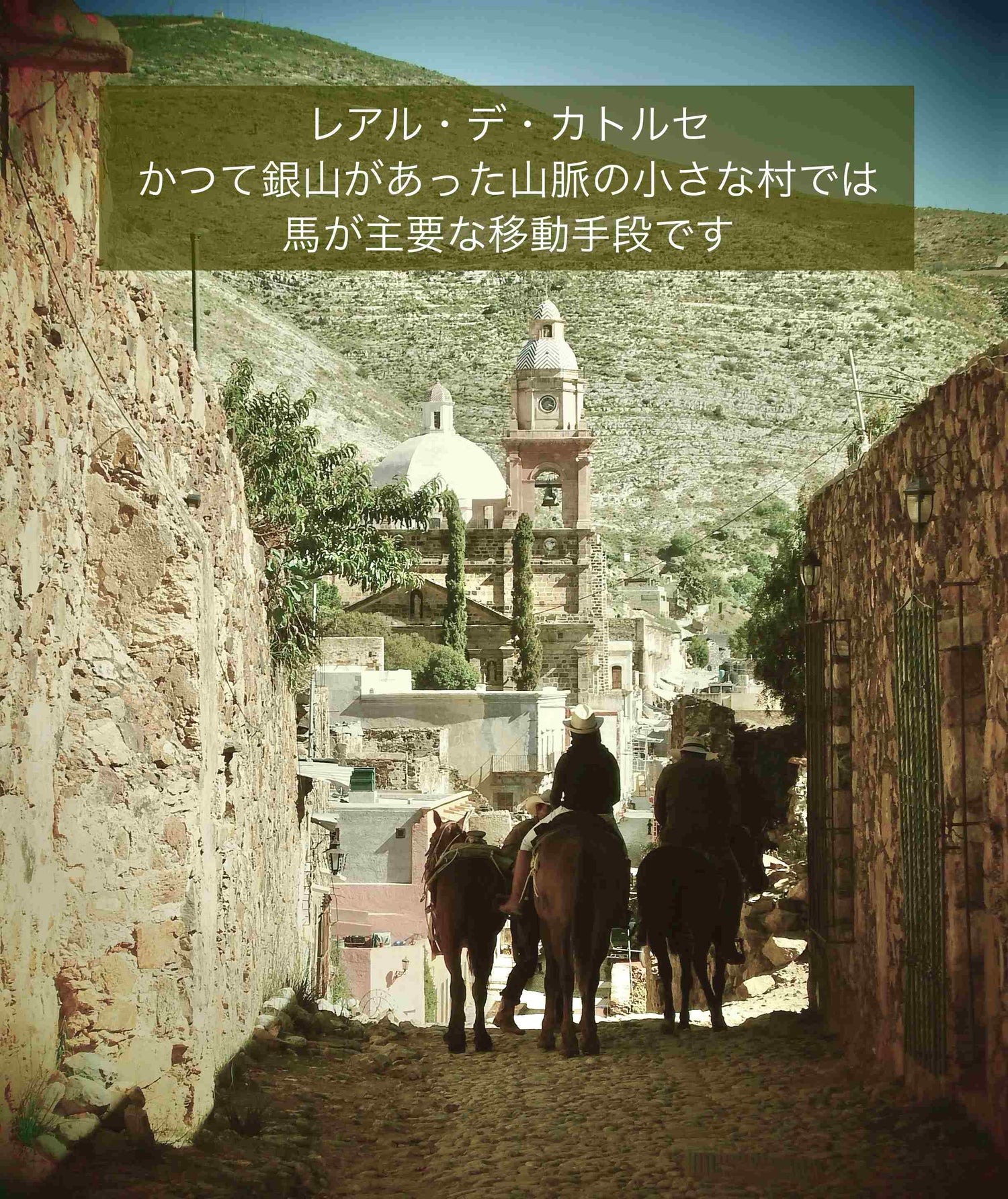 【1/22頃発送予定】Mexican Silver925 3mmボールビーズ Horseネックレス